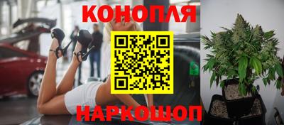 эйфоретик Рыбинск