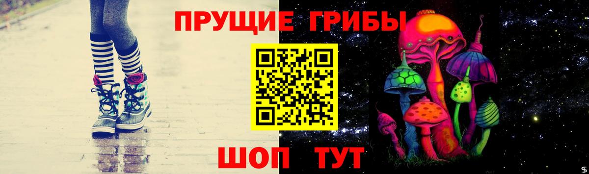 Псилоцибиновые грибы Psilocybine cubensis  Вход с VPN  Трёхгорный 